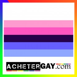 Drapeau LGBTQIA+ Omnisexuel