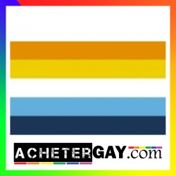 Drapeau LGBTQIA+ Aroace