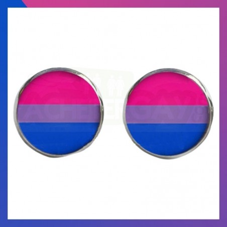 Boucles d'oreilles couleurs bisexuelles