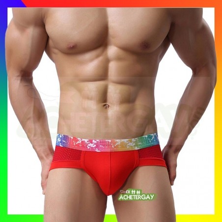 Boxer rainbow gay